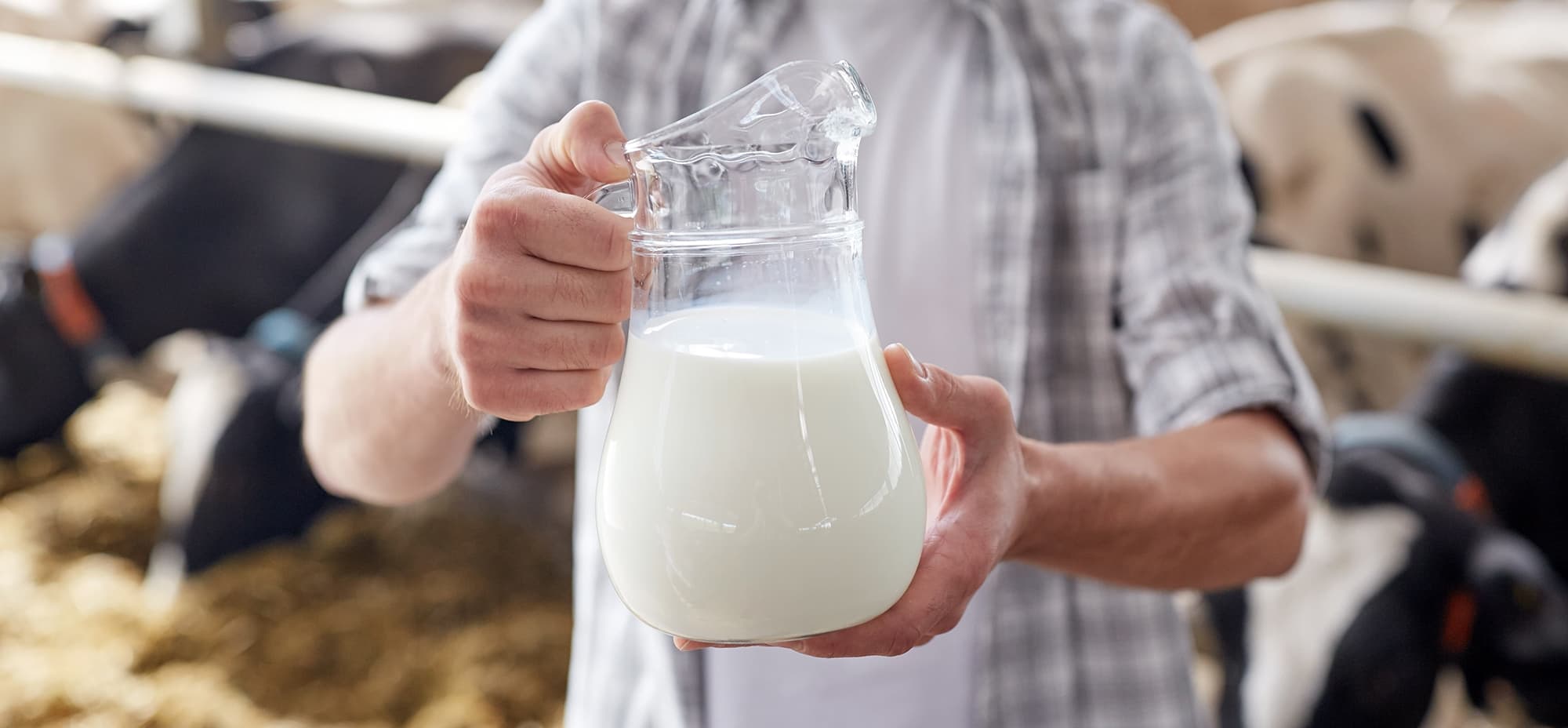 Man holding a jug of cow's milk